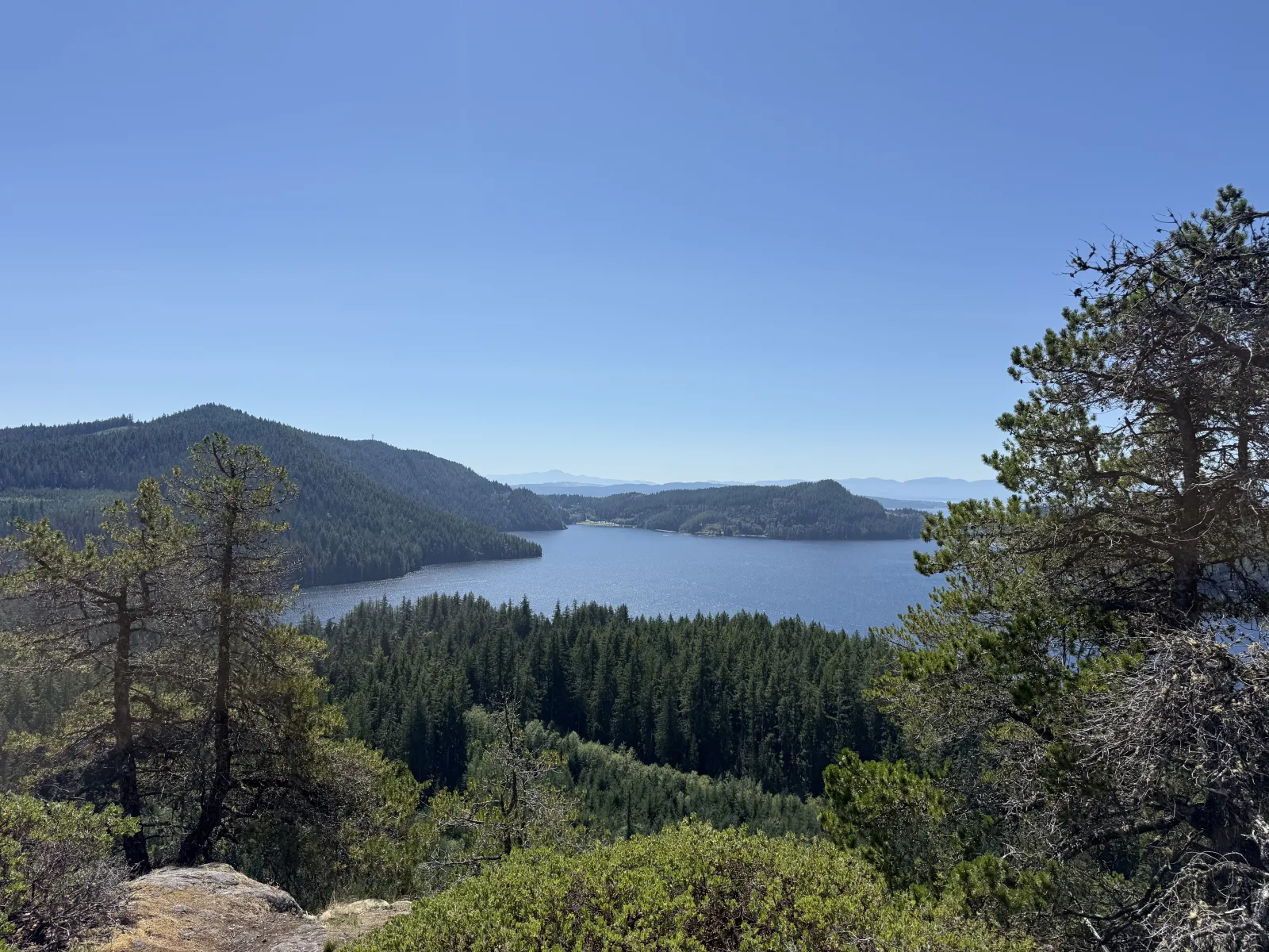 A lake surrounded by evergreen forest, viewed from a rocky hillside in the Powell River / qathet region